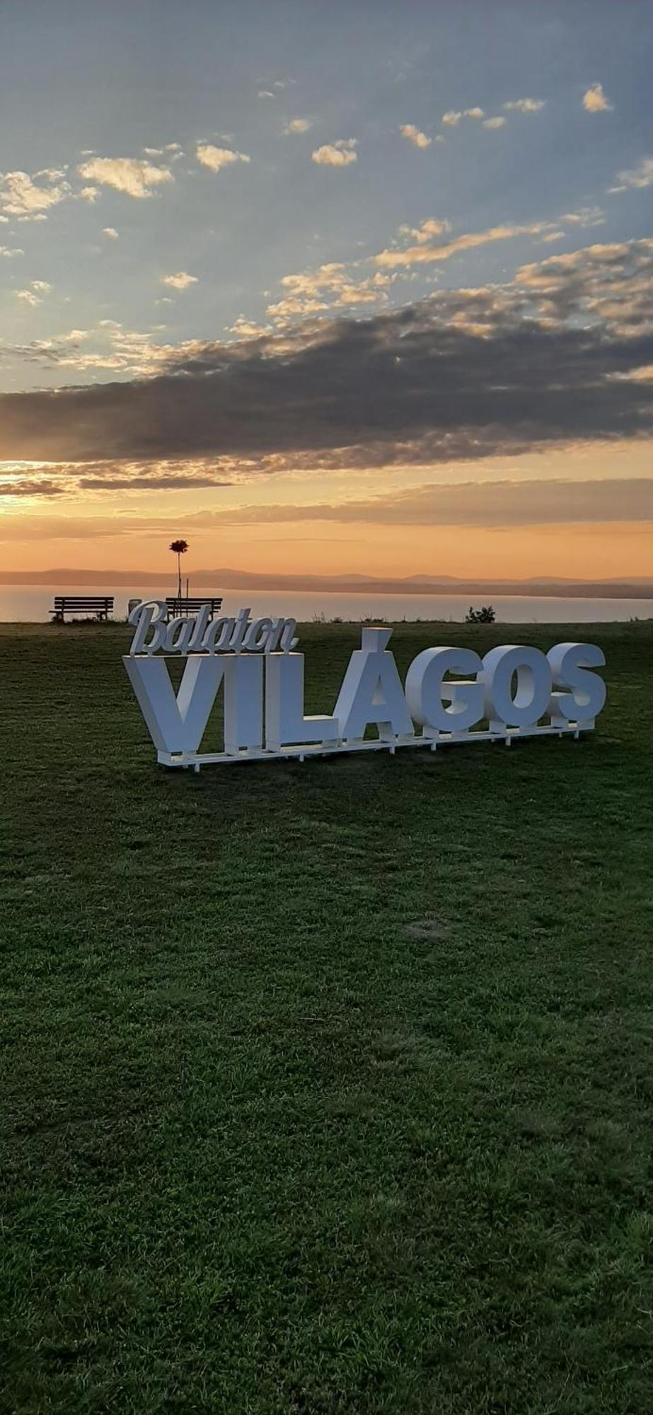 Bodzavirag * Balatonvilagos