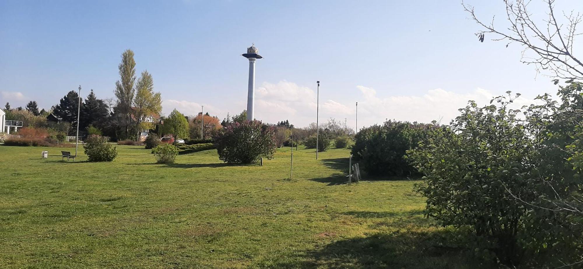 Bodzavirag * Balatonvilagos