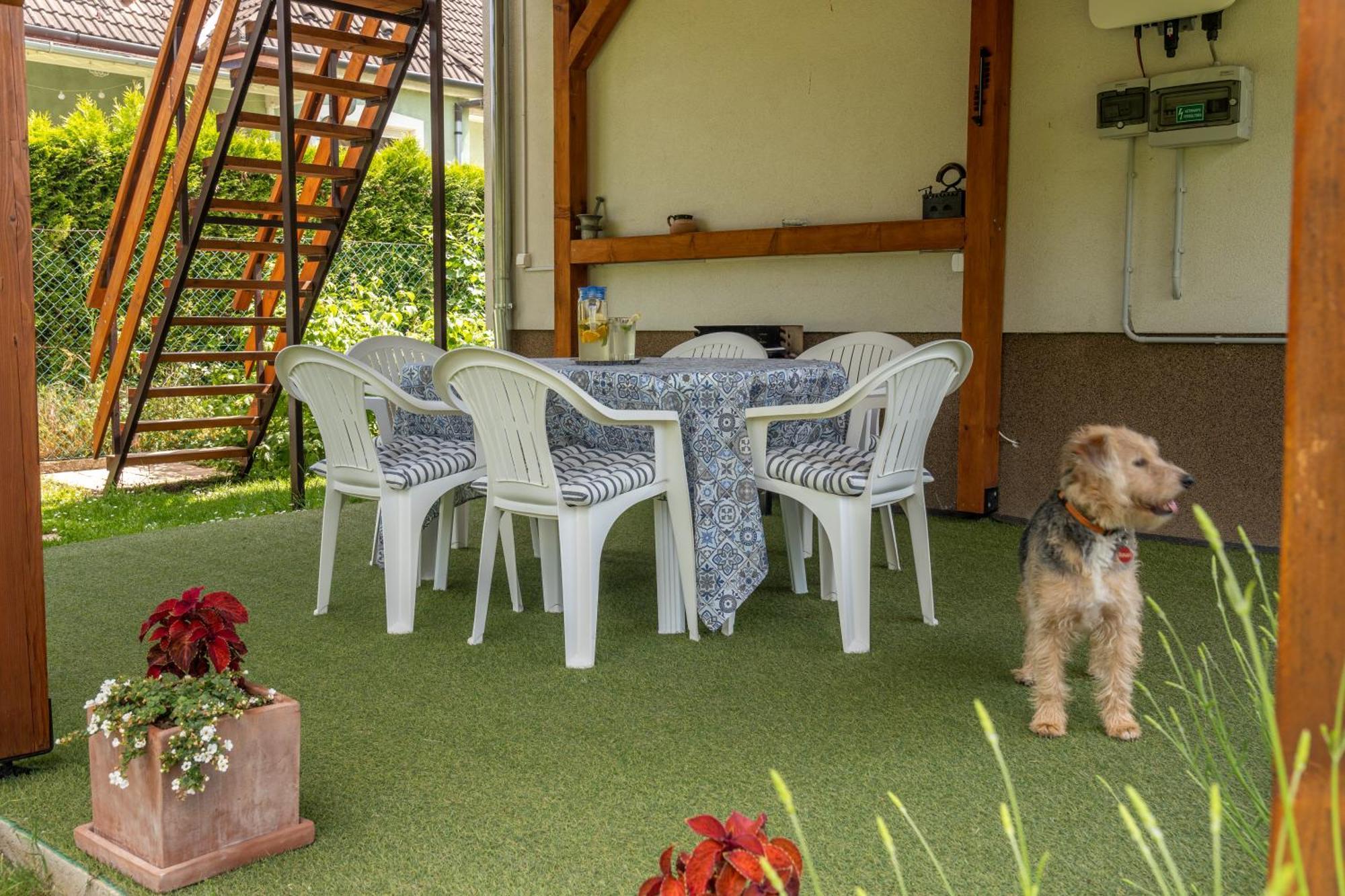 Bodzavirag Apartment Balatonvilagos